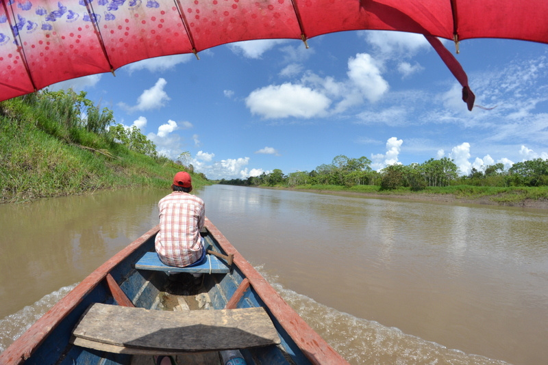 Amazon river, Peru